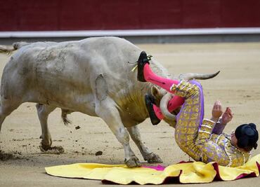 Torero recibe grave cornada en la pierna durante una corrida en Madrid, España