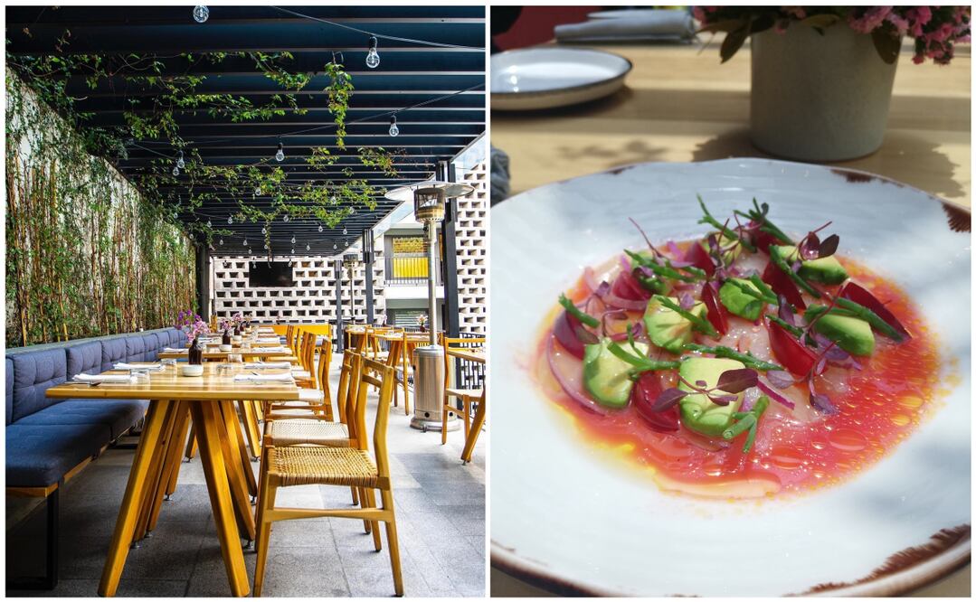 Fotos: Cortesía Hotel Carlota/Maricela Flores-De10.mx