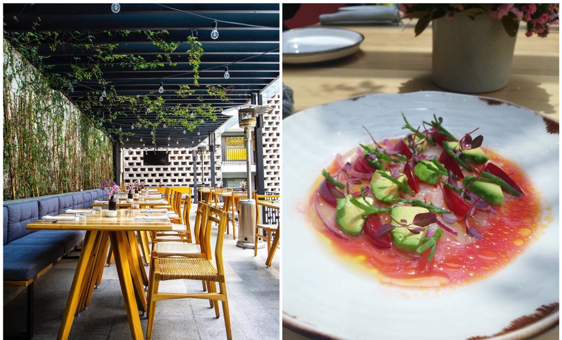 Fotos: Cortesía Hotel Carlota/Maricela Flores-De10.mx