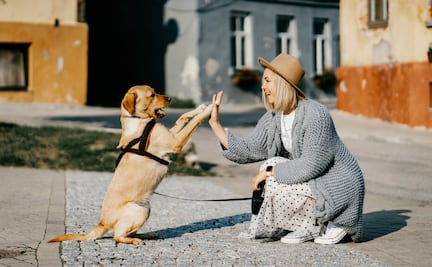 Tener un perro te hace lucir más joven... ¡la ciencia lo confirma!