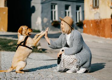Tener un perro te hace lucir más joven... ¡la ciencia lo confirma!