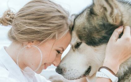 10 formas en las que una mascota ayuda a vencer la ansiedad