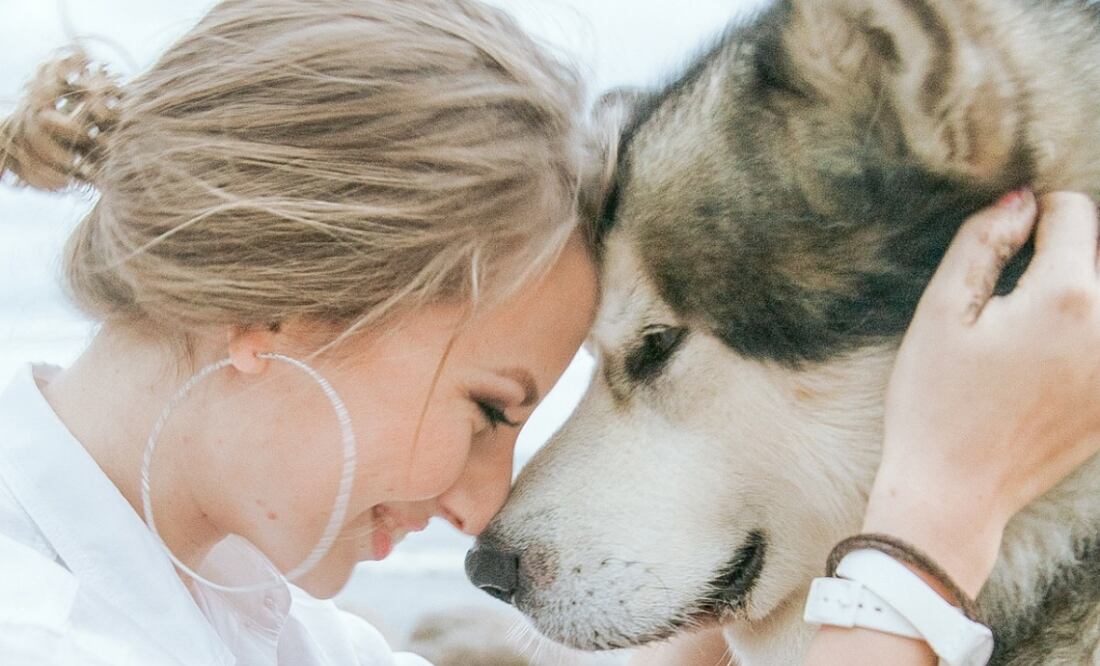 Foto: La Miko en Pexels