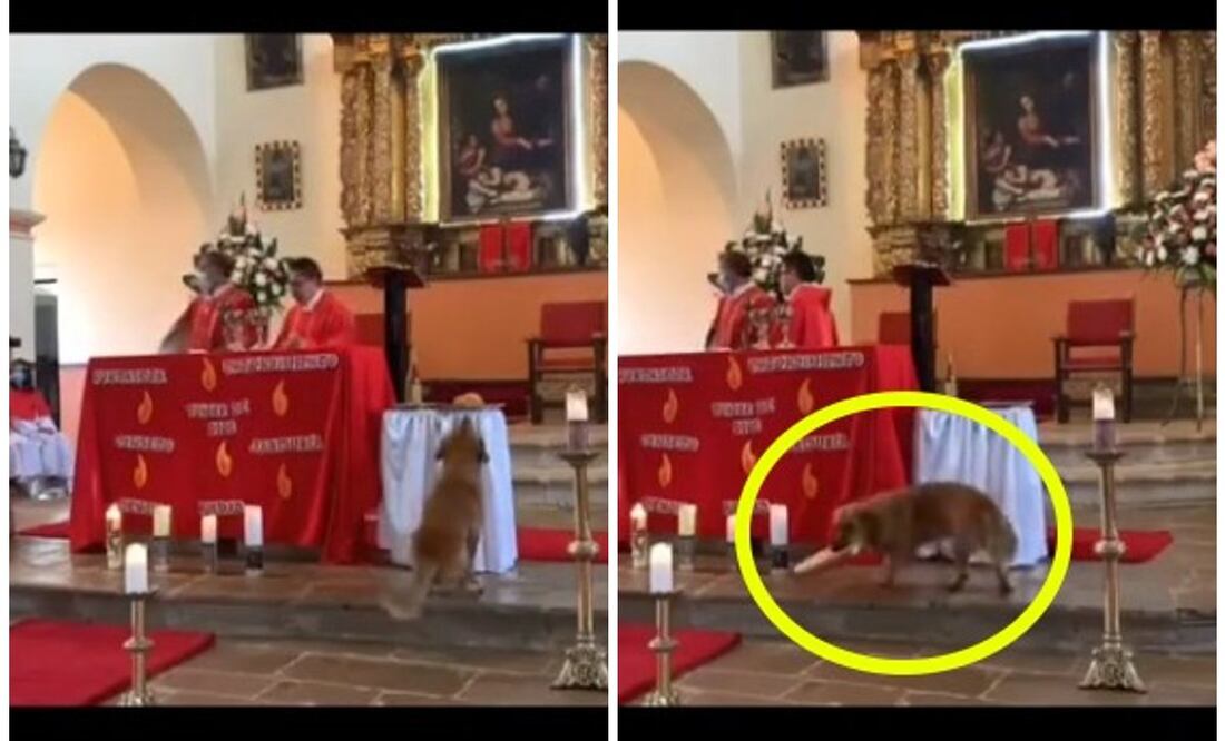 Foto: TikTok @legoth_