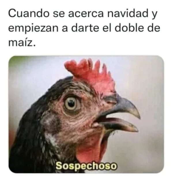 Más 10 memes que te harán sentir el verdadero espíritu navideño