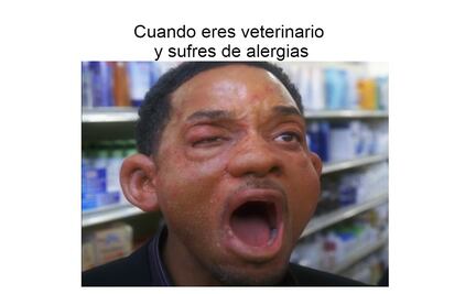 Los 10 mejores memes para celebrar el Día del Veterinario con risas