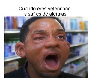 Los 10 mejores memes para celebrar el Día del Veterinario con risas