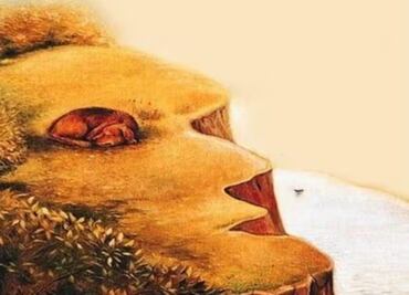 Dime que observas primero en la ilusión óptica y te diré cómo prefieres vivir