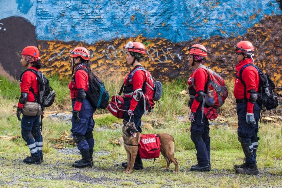 10 tips de los Topos Tlatelolco para antes, durante y después de un sismo