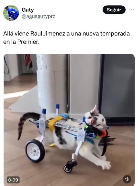 Tweets Raúl Jiménez