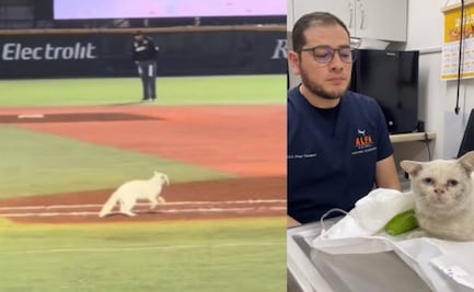 Charros de Jalisco le cambian la vida a un gatito que invadió la cancha