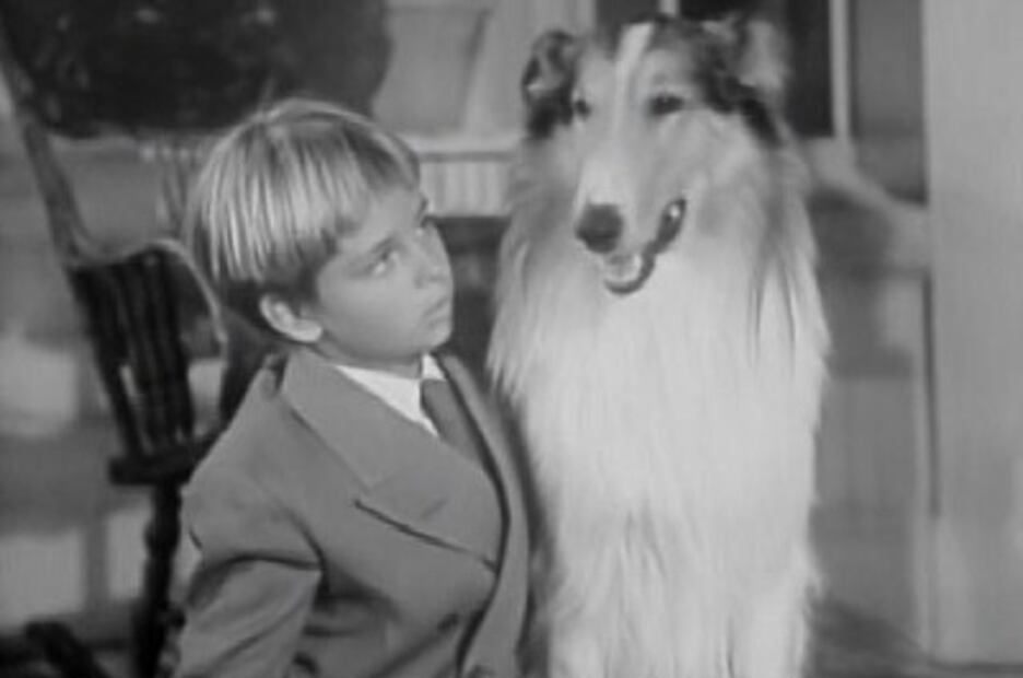 ¡Feliz Día del Perro! Los 10 perros más famosos de la historia