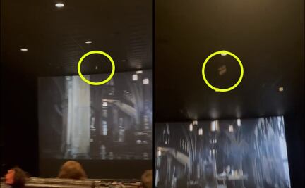 Video: Fan suelta a murciélago vivo en función de “The Batman”