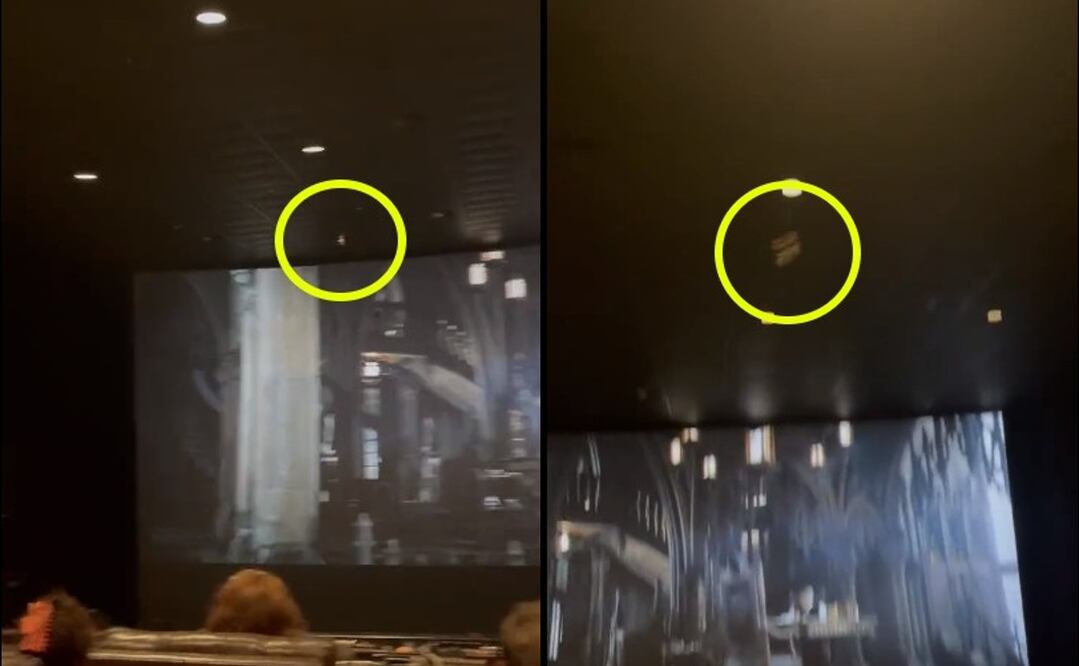 Foto: Twitter @Jeremiah24_