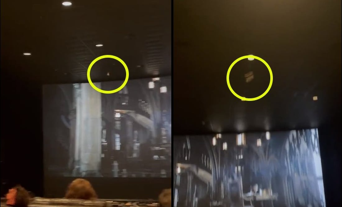 Foto: Twitter @Jeremiah24_