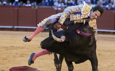 Torero Roca Rey sufre cornada en Sevilla / Foto: EFE