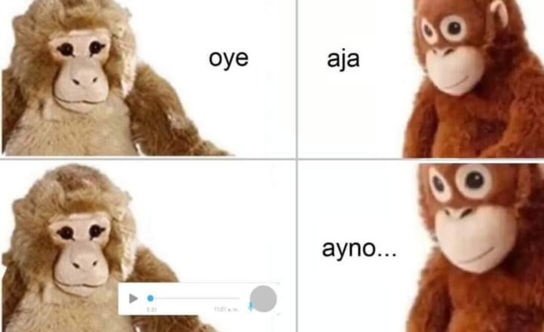 Foto: Redes Sociales