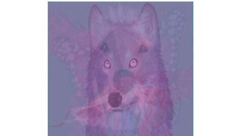 Dime que animal observas primero y te diré algo oculto de tu personalidad