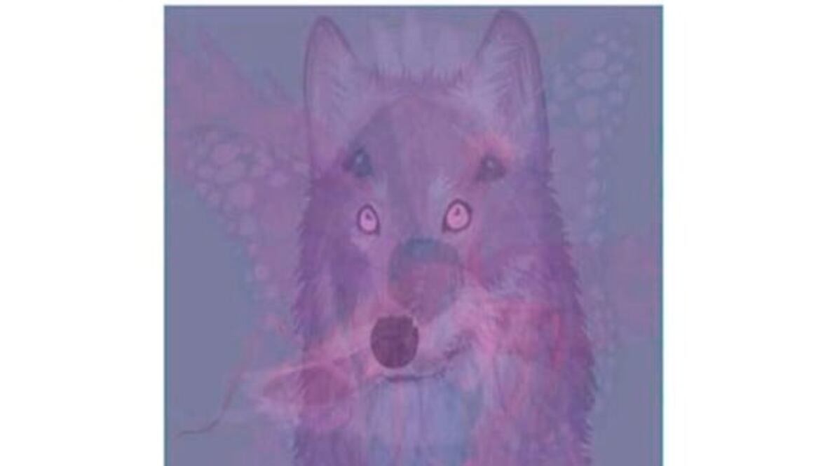 Test de personalidad | Fuente: X @showmundialshow