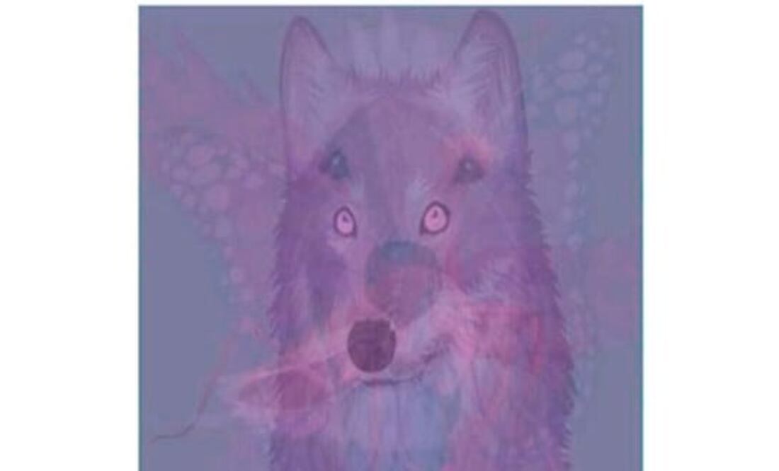 Test de personalidad | Fuente: X @showmundialshow