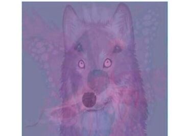 Dime que animal observas primero y te diré algo oculto de tu personalidad