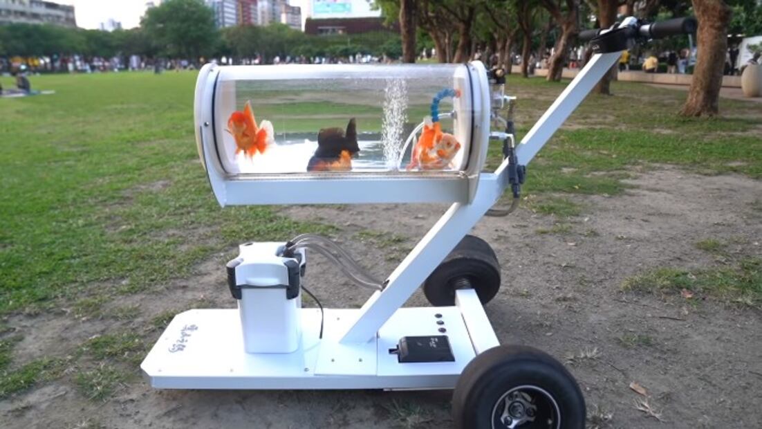 Youtuber crea coche-pecera especial para llevar a sus peces al parque