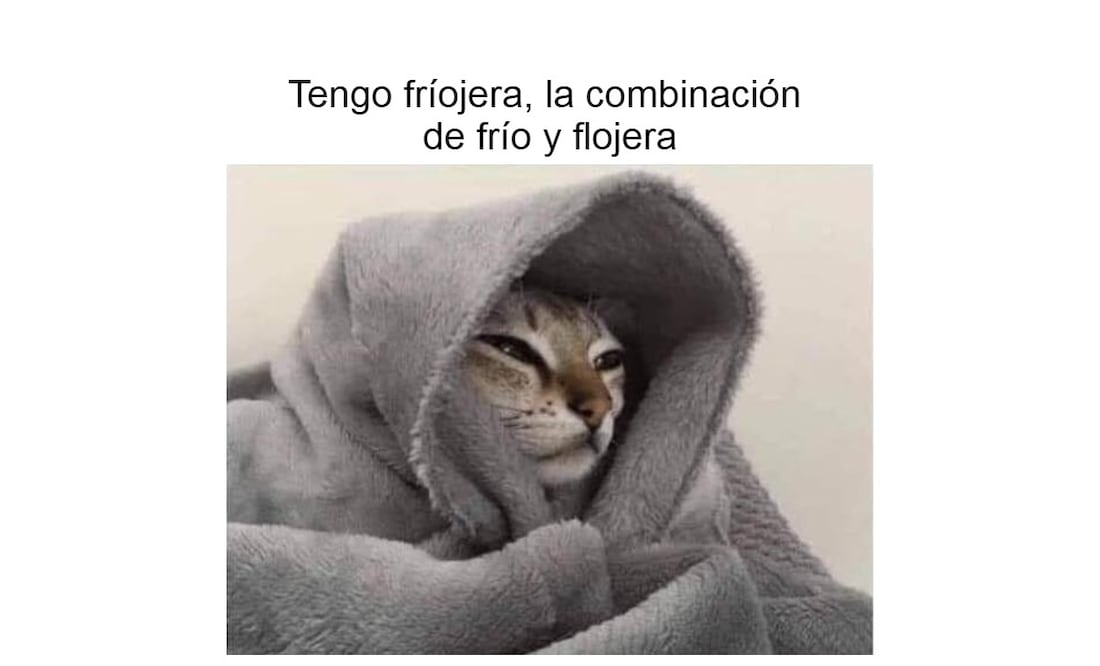 Foto: Redes Sociales