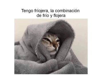 Los 10 memes más divertidos sobre el frío en este 2022
