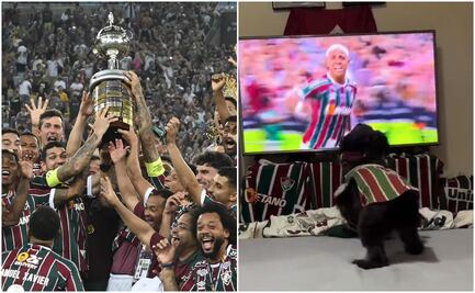Video: ¡Perrito campeón de Libertadores! El canino fanático del Fluminense que festejó el título