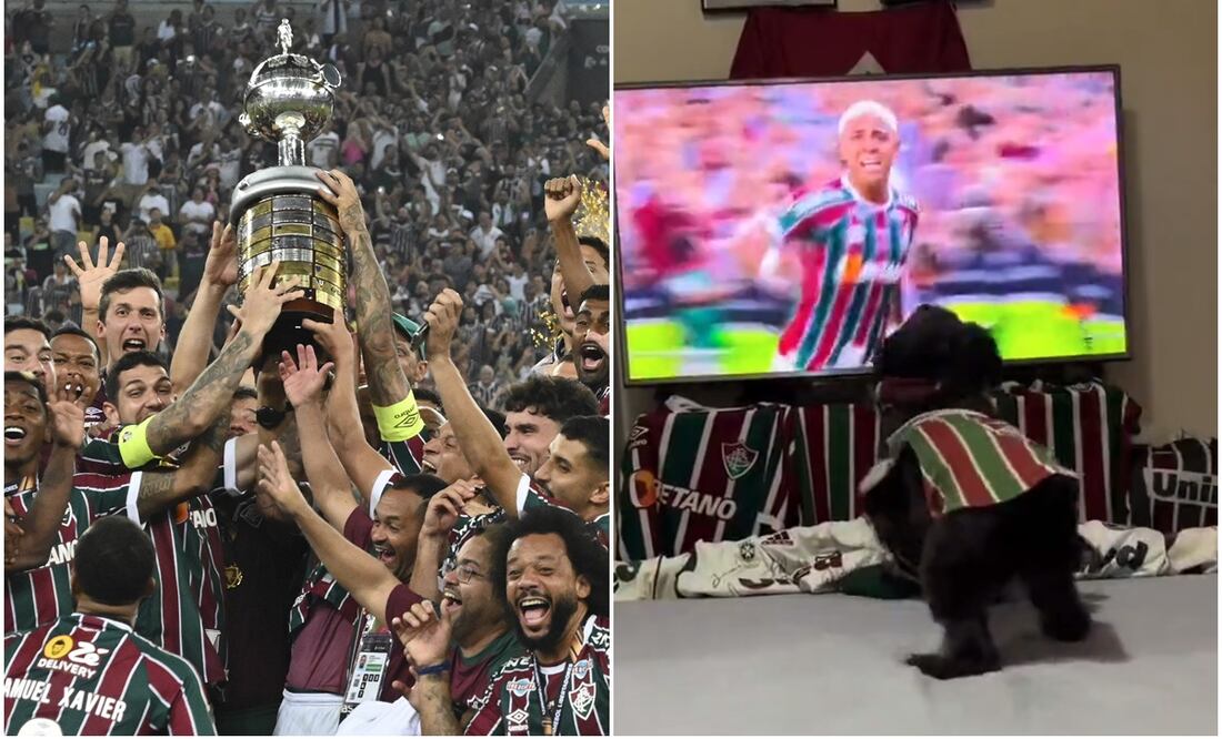 Fluminense campeón de Libertadores y Pretinha / FOTO: AP y Captura