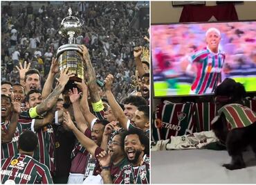 Video: ¡Perrito campeón de Libertadores! El canino fanático del Fluminense que festejó el título