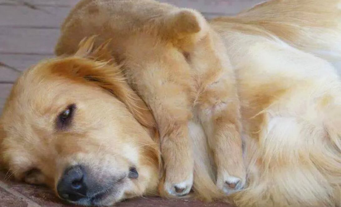 Foto: Imgur @ MazMe89