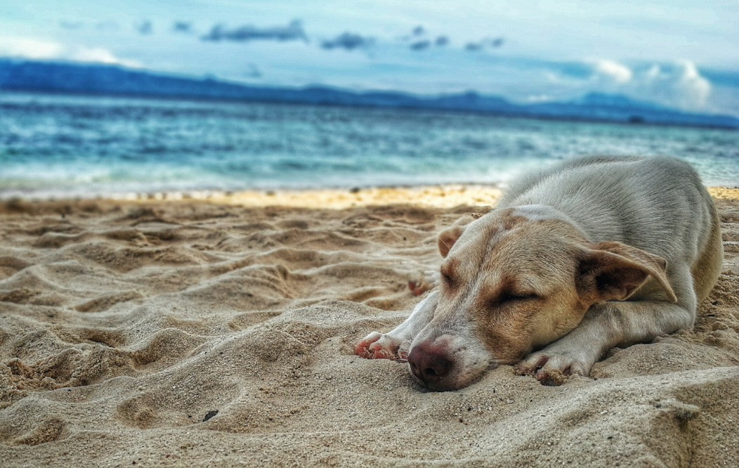 Foto: Ruel Madelo from Pexels