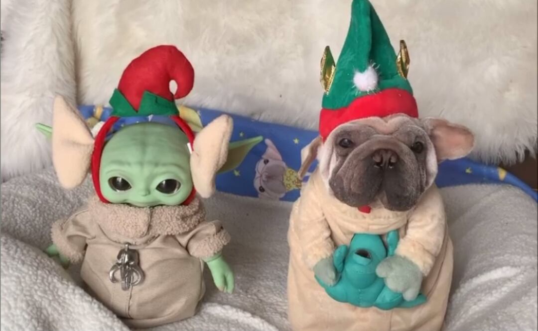 Foto: Instagram @morkskywalker