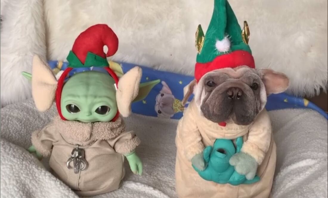 Foto: Instagram @morkskywalker