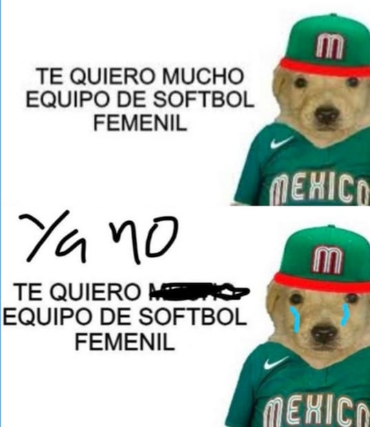 "Te quiero mucho": 10 memes del perrito que apoya a México en Tokio 2020