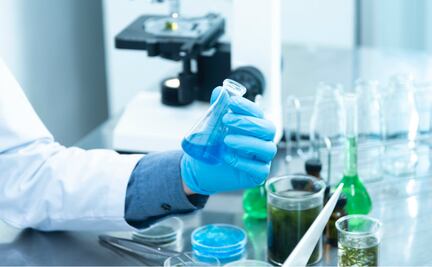 Células madre: ¿Qué son y cuántos tipos hay?