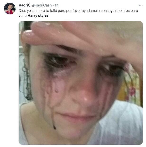 Los 10 mejores memes de la gira de Harry Styles por Latinoamérica en 2022
