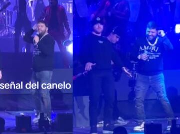 Canelo Álvarez realizó seña obscena a fanáticos durante un concierto