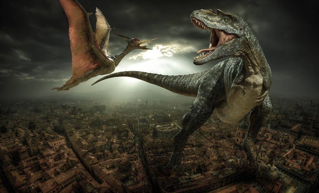 Foto: Willgard Krause en Pixabay