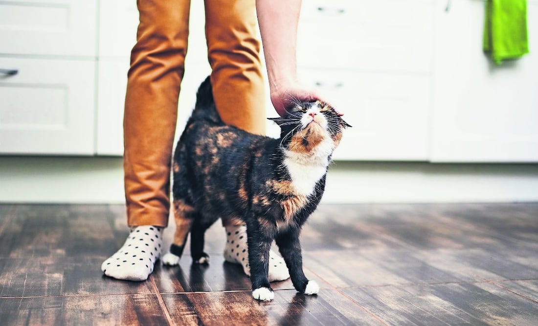 Foto: iStock