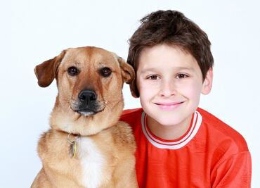 10 reglas de oro para la convivencia entre niños y perros