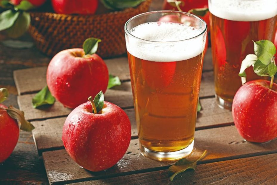 5 bebidas mexicanas tradicionales que con una copa te dejarán mareado 