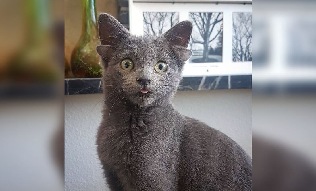 Foto: Instagram @midas_x24