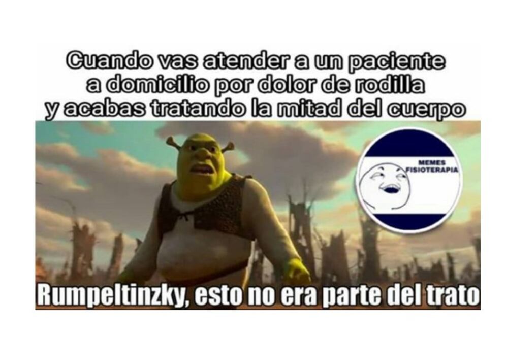 Foto: Instagram @fisioterapia_memes