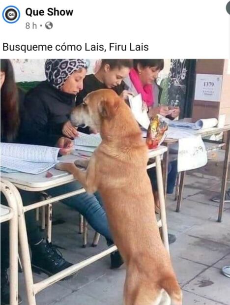 Los mejores memes de las elecciones 2021 en México