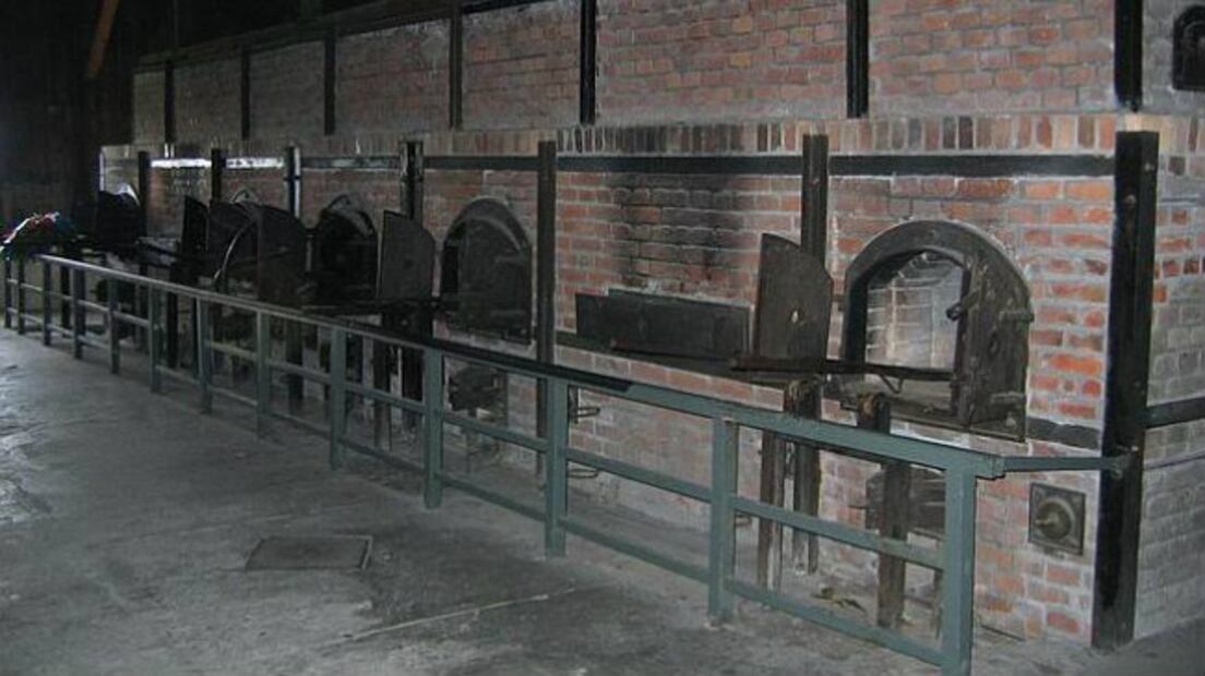 Campos nazis: de centros de trabajo forzado a cárceles de exterminio