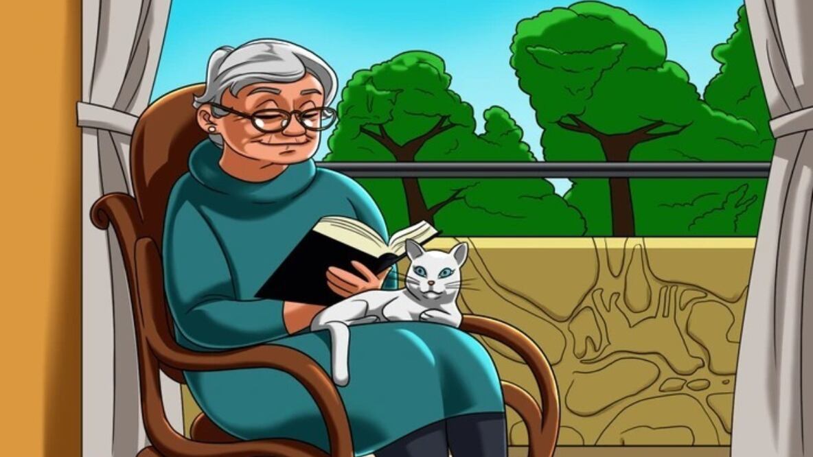 Reto visual | Fuente: GenialGurú