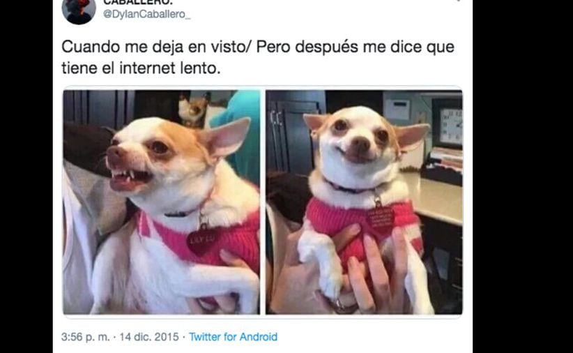 Foto: Internet